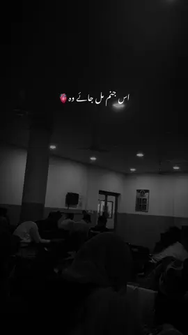 Meri jaann ♥️#foryoupage❤️❤️ #goviral #foryoupage #greenscreen #humor 