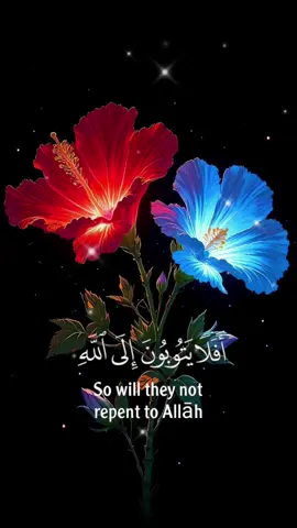 #حالات #حالات_واتس #اكسبلورexplore #ستوريات #القرآن_الكريم_راحه_سمعك_القرآن💙🎧 #القرآن_الكريم 