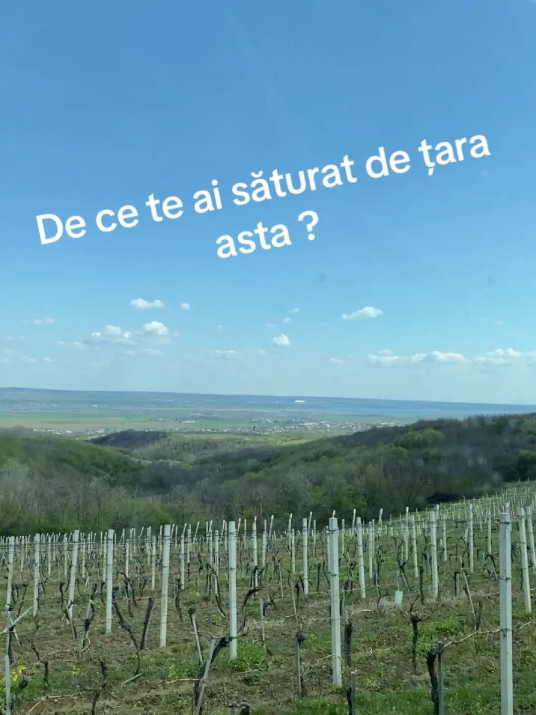 #dragasani #dealulviilor #2025 #romania 