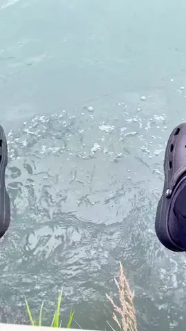 “Turn up volume, and listen…” #Kenai #Alaska #Asmr #Naturesounds 