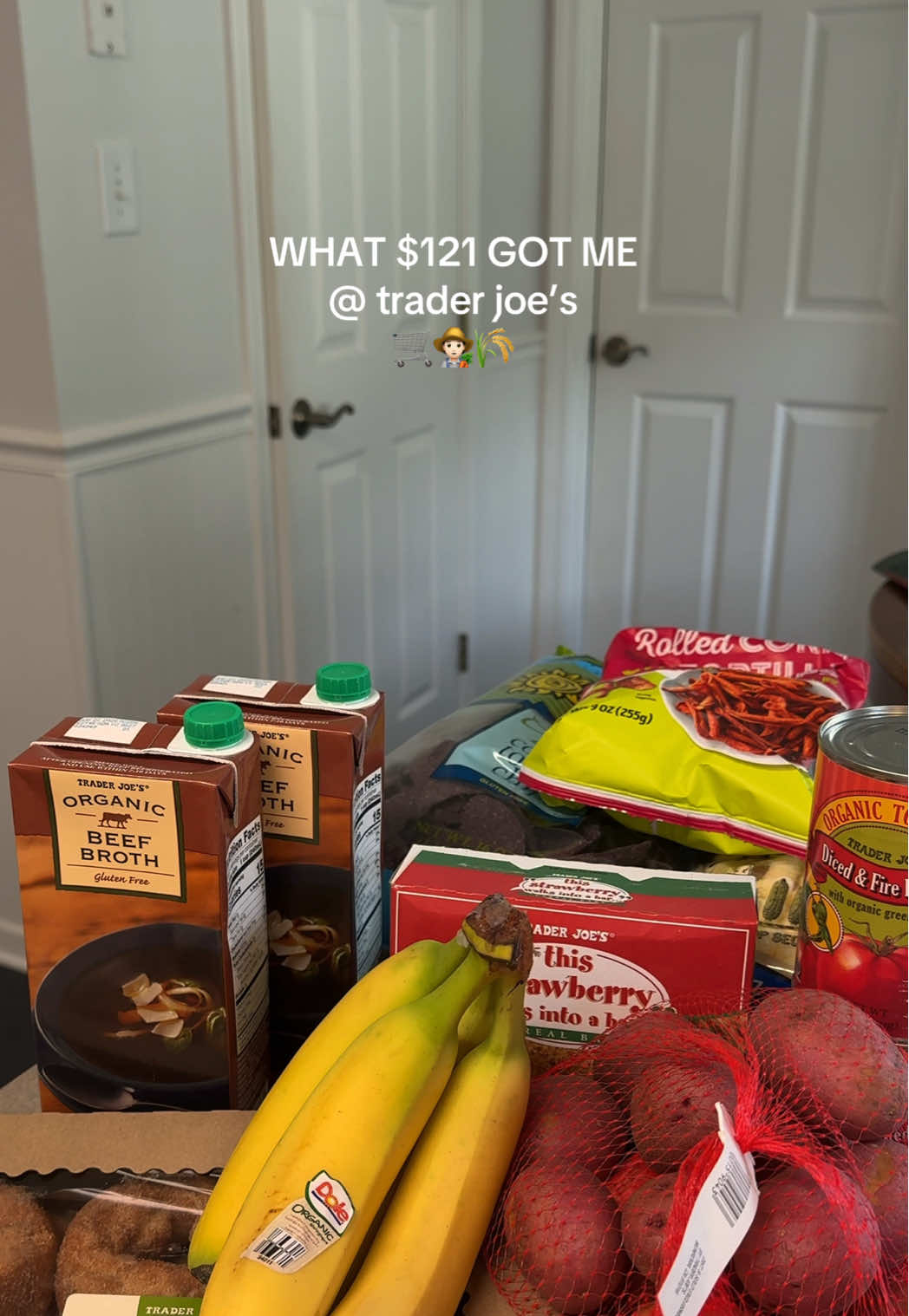 Trader Joe’s is SO affordable but it’s also so anxiety-inducing LOL 😅 excited to try a few of these things!  #traderjoes #traderjoeshaul #groceryhaul #groceryrestock #fyp 