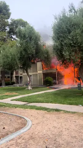 #fire #lasvegas #firefighter #viral #localnews 