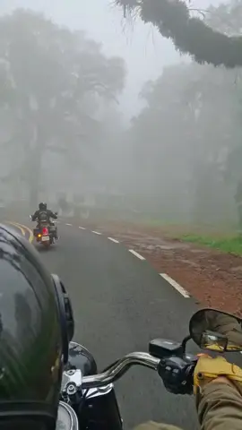 Rodando! #patan #neblina# la pancha #harleydavidson 