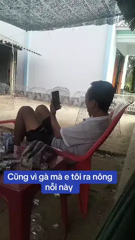 Bây