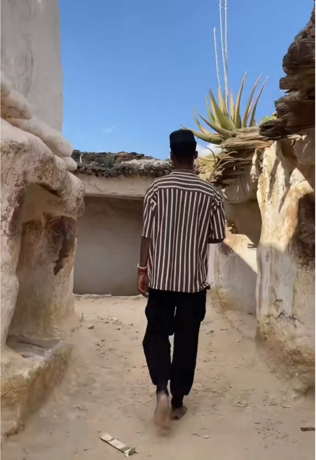 ጌታዬ ኑርሁሴን በሉኝ የኔ አሽከር💚🫶 #ferhansaniseid #abiyyoo #baale #baaroo_sheekanaa_huseen❤💚❤ #ormotiktok❤💚❤ @ታኩር @@ahme 🌴🌴 @Abdi Getachew Abebe @Ferhan Sani Seid 2  