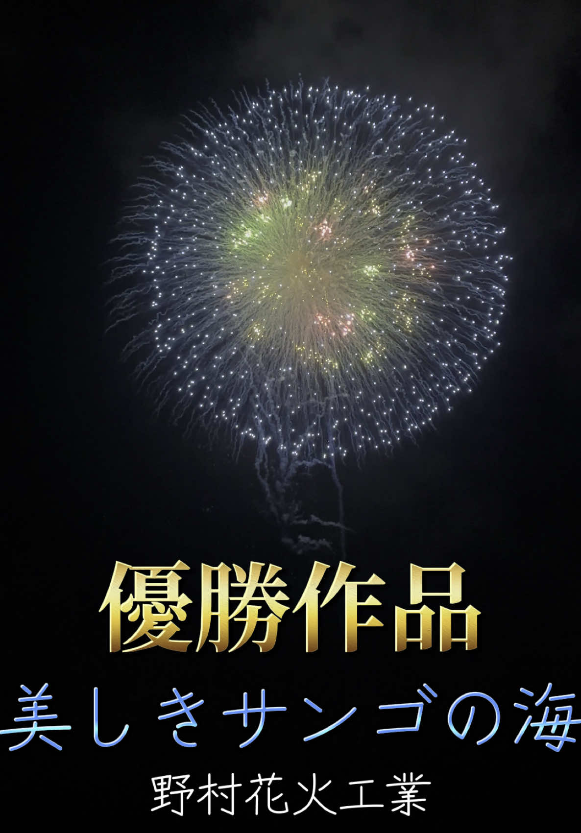 大曲の花火『全国花火競技大会』 自由玉の部:優勝作品 作品名:美しきサンゴの海 煙火店:野村花火工業（茨城県） #大曲の花火 #全国花火競技大会 #花火大会 #野村花火工業 