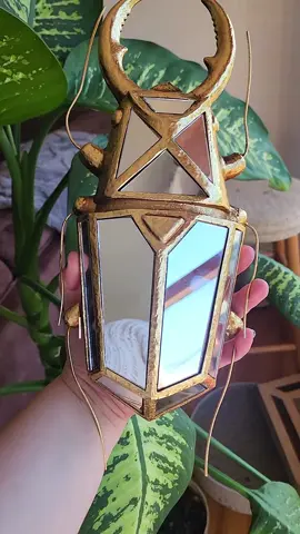 this beautiful mirrored beetle wall decor is going to look amazing in my bug themed library. I am so amazing at the quality and I cant wait ti hang it up. #eclectichome  #funwallart #librarydecor #vintagehome #whimsicalaesthetic 