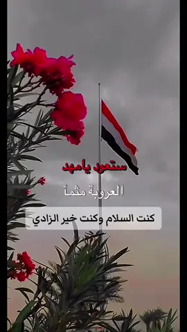 #ستعود #يامهد #العروبه #🇾🇪🇾🇪🇾🇪🇾🇪🇾🇪🇾🇪 #وطني