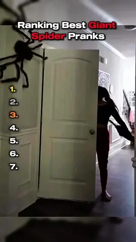 Top 5 Scariest Spiders Pranks 😂 #funny #tiktok #prankvideo #moment #viral 