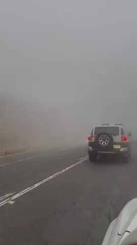 #ضباب #السوده #ابها_الان 