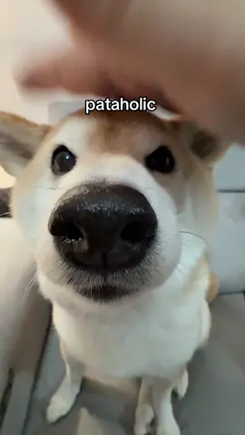 🫳