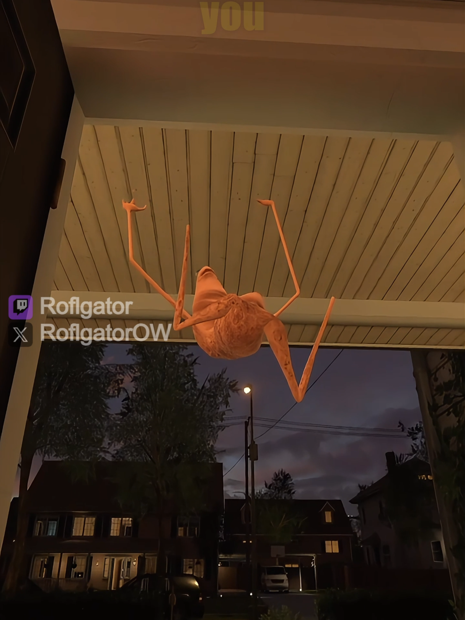 Can't believe Marcus did that on my computer #roflgator #vrchat #vrchatmemes #funny #marcus