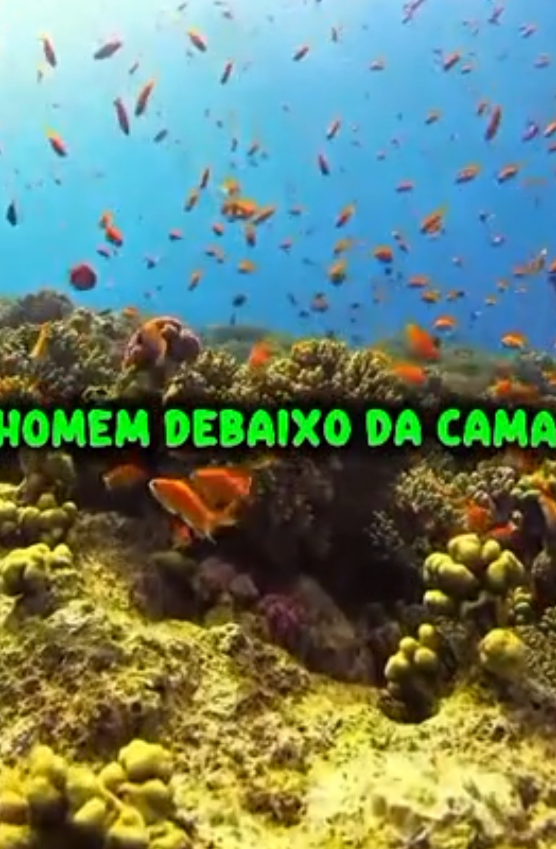 Mulher mulher,  eu tou achando que tem um homem embaixo da cama| #coxinha #doquinha #nasgarrasdapatrulha #coxinhaedoquinha 