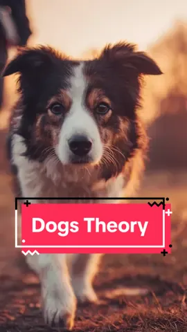 Dogs Theory😱 #dog #animal #conspiracy #theories #joerogan 