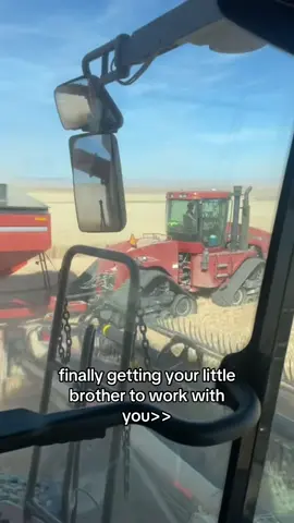 @Will Kaufman 