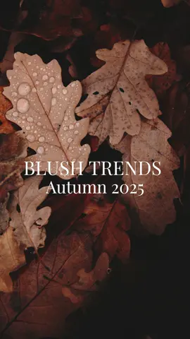 Blush Trends for Autumn 2025. #autumn #trending #fyp #makeup #fall 