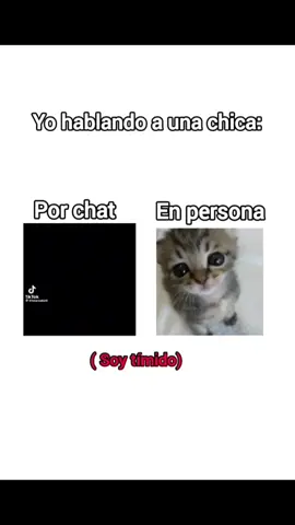 (Resubido Por que el Otro Me olvide de editar bien)