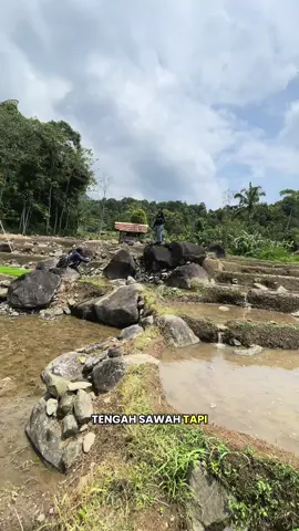 Main ke sawah kaki Gunung Burangrang, Estetik dan Sangat Indah #alam #indonesia #naturelover 