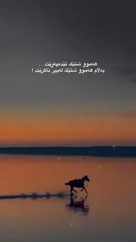 🫡