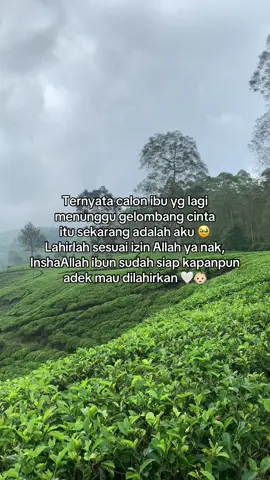 Bismillahirrahmanirrahim semoga Allah lancarkan dan Allah mudahkan, Aamiin YaRabbal Alamin 😇🤲🏻 #masyaallahtabarakkallah #allahummabarik #hpldesember #bumil #fyp 