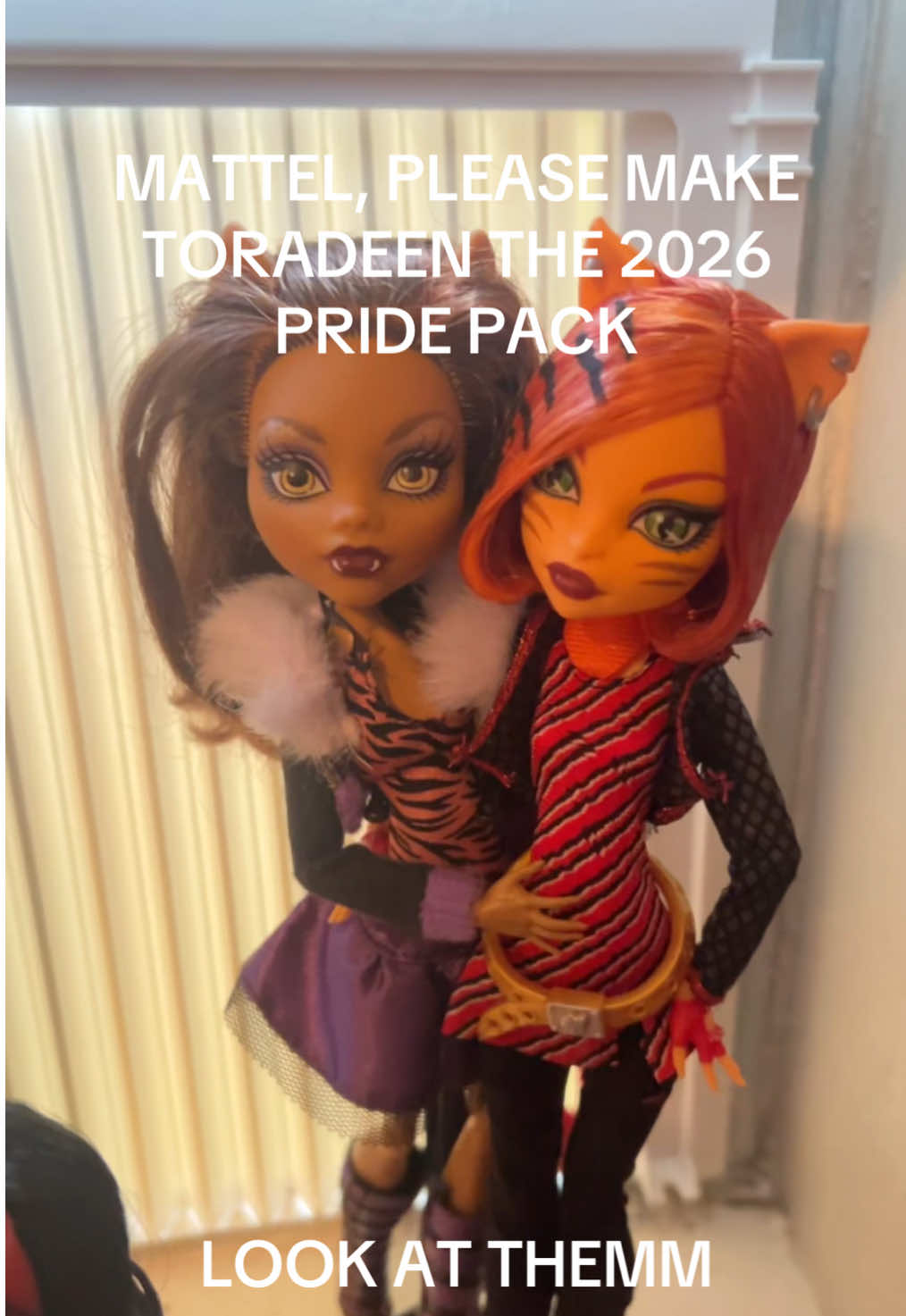Ohhh you want Toradeen so bad 🌀 Ohhhh Toradeen is your favorite couple 🌀  (I need to brush Clawdeen’s hair but I’m too scared to move them, it took me forever to get them in this pose) #collection #dollcollector #mhdolls #toradeen #clawdeenwolf 