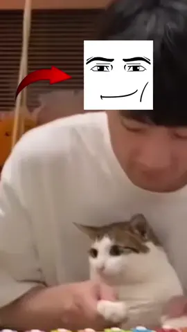 that damn smirk. @Aspen #zedishot #unclebao #baobao #unclehug #catsoftiktok 