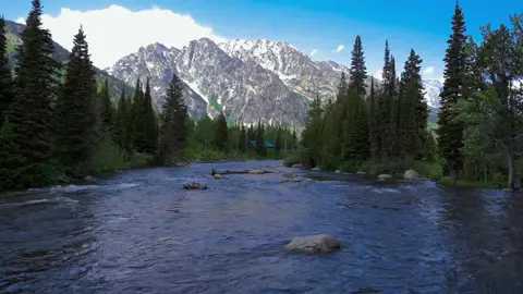 I yearn for the moment I get to come back here  #grandtetons #nationalpark #naturelover #river #macdemarco 