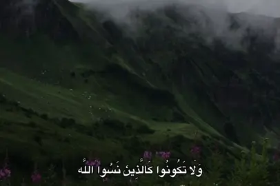 #محمود_علي_البنا #البنا #quran #fyp #🎧 