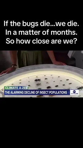 Urbanization, deforestation, pesticides and even road salt have all added to a decline in insect populations… so how bad is the problem? We look at it in this week’s Climate A to Zee. #insects #bugs #entomologist 