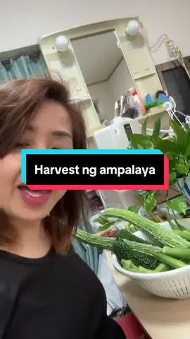 Kainin ang ampalaya masustansya , at wag ugaliin #glorytoGod  #creatorsearchinsights  #enjoylife#vegetable