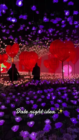 Imaginarium in Lakewood was so much fun! #datenight #datenightideas #couples #couple #Love #relationships #lightshow #lights #bf #fyp #viral 