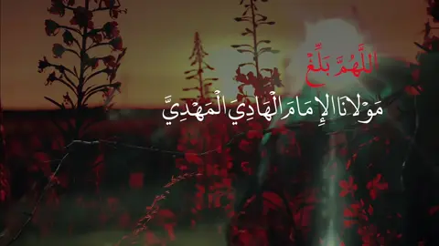 مِـن أجمل ماتبدأ بـهِ صباحك هو دعاء العهد وسلام على إمام زمانك🤍.  #دعاء #العهد #الصباح #العراق #بغداد 