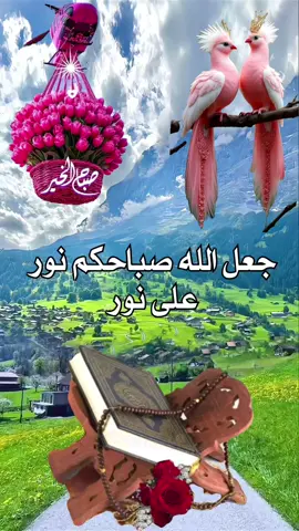 جعل الله صباحكم نور على نور #يسعد_صباحكم #صباحكم_أحلى_صباح #صباحكم_معطر_بذكر_الله #صباح_الخير 