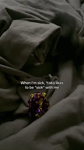 Is he making fun of me or is he cosplaying “sick”
