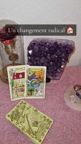 Bienvenue dans mon univers🔮🧚 J'offre des conseils sur les cartes de tarot et de voyance à tous ceux qui ont besoin d'en apprendre davantage sur leur vie... N'hésitez pas à me contacter en Privé 💌 1* Tirage sentimental🎴 2* tirage professionnel🎴 3* Tirage évolution🎴 4* Tirage général🎴 5* retour d'affection l'ex où flamme jumelles garantie 100%, remboursement en cas d'échecs💯✅ #predictions#tarots#guidane#voyance#guidancedujour ..🚫🧿🧚