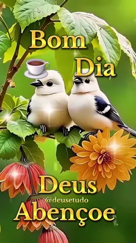 #deusetudo  #deus  #motivacional #reflexaododia #bomdia 