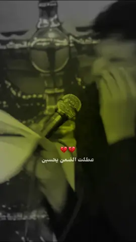 #علي_سعيد_البيجاوي #حسين⚜️ #عطلت_الضعن_يحسين#fy 