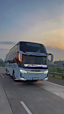 Edsel 135 trans #fyp #supirbus #sewabusrangkasbitung #fypシ゚ #laksanakaroseri 