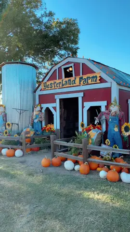 This is what fall feels like at YesterLand Farm...  Good vibes, pumpkins, tasty treats, beautiful weather, and great memories🎡 Join us this fall at YesterLand Farm, our Fall Festival will be held from September 20th - November 2nd, where you can enjoy some seasonal rides and attractions🎃 Our Early Bird Sale goes live TOMORROW👀 Head to our website then to snatch your tickets!  Fall Festival | YesterLand | Fall