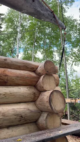 Swinging another one. #sfyk #logcabin #offgrid 