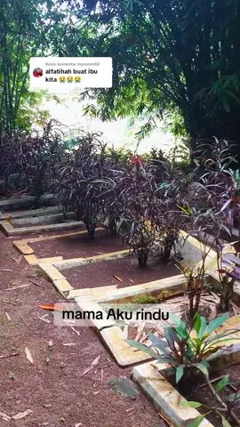 Membalas @mpoemeh2 #ibu #aku #rindu #alfatihah  #hanyarindu #reminder #fypシ 