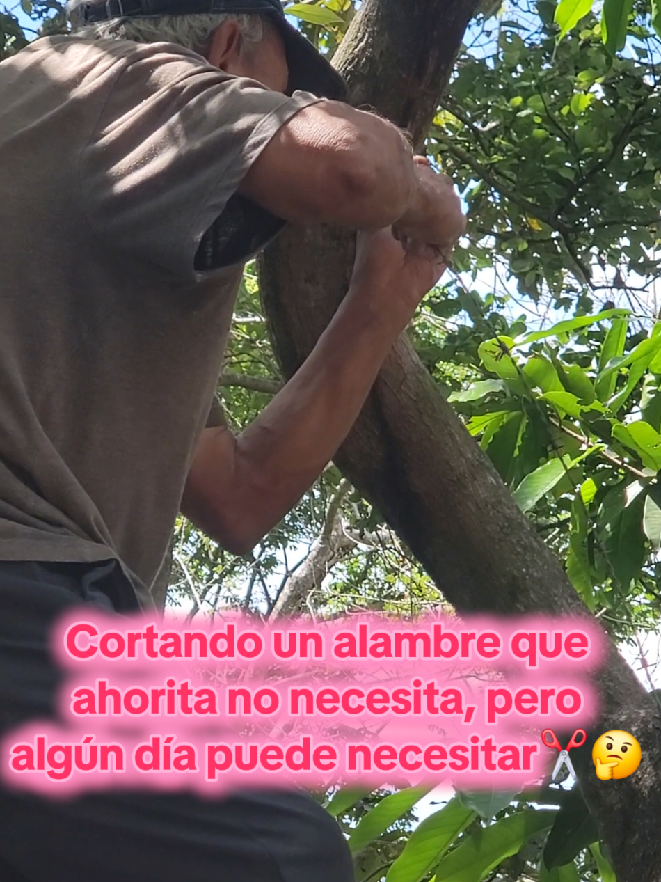 ¡Ya llegó la edad de hacer travesuras!🤣 #abue #tranding #motivation #comedia #viraltiktok 