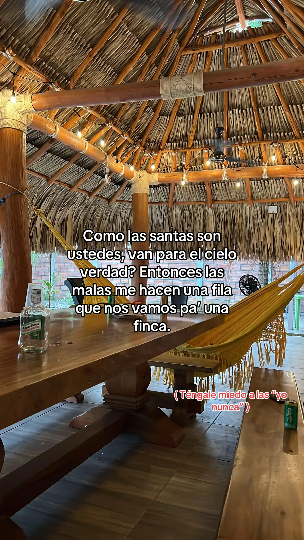 #lafalda #loszuletas  #vvvvvvvvvvvvvvvvvvvv  #santa  #🎶🥃 