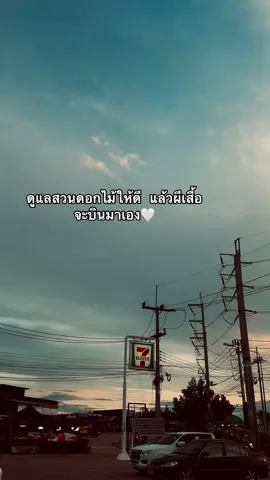 ผีเสื้อหลงทาง😆 #เธรด #สตอรี่_ความรู้สึก😔🖤 #สตอรี่คนเศร้า #ยืมลงสตอรีได้น้าาา🕊💗 #fyp 