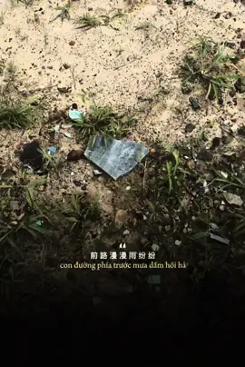 #CapCut 无期 / Vô Kỷ #tramdung1293 #nhachaymoingay #music 