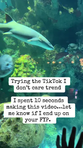 New trend to get pushed out to fyp- “I don’t care” trend. TikTok does not care how much effort you put into your videos- use whatever video you have (shorten to make it a 7 second clip)…simple. And no hashtags. 