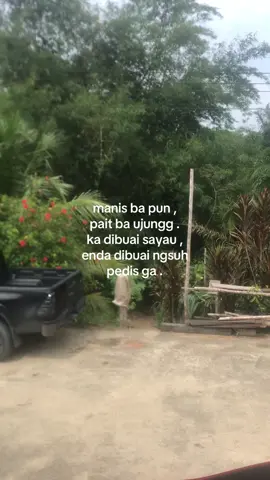 #fyp #tiktok 