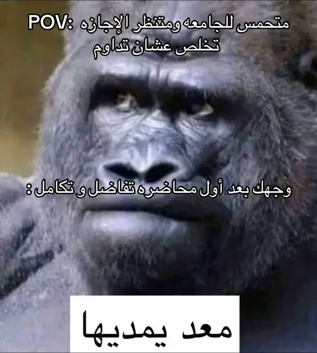 #explore #اكسبلور #الهاشتاقات_للشيوخ #fyp #viral #foryou #رياكشن #ذبات #هههههههههههههههههههههههههههههههههههههه #ضحك😂 #الهندسه👷 