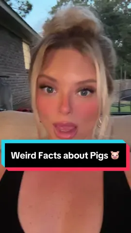In honor of PGP. Weird facts about Pigs Part 1.