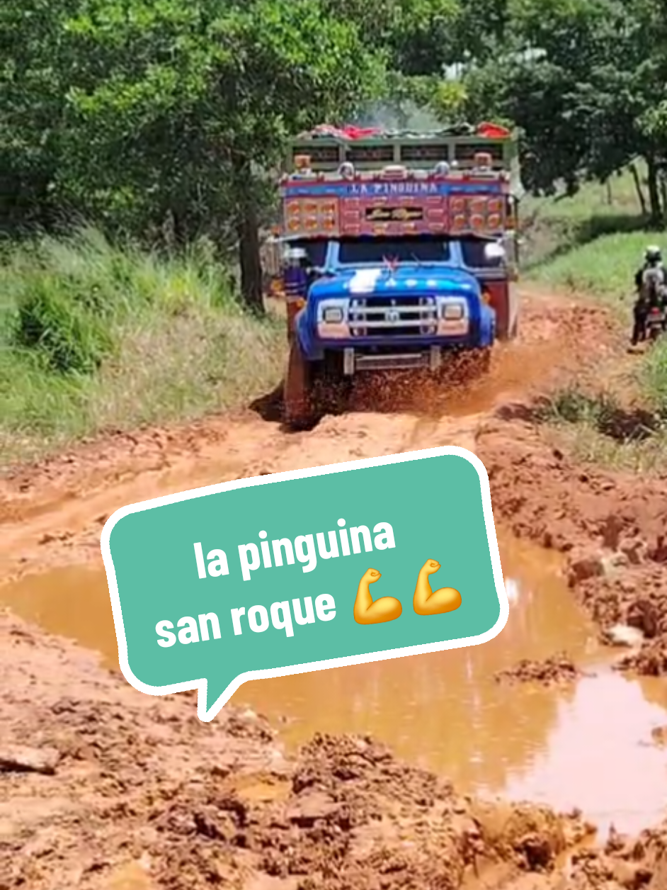 #chivasescalera  #camionesdecolombia🇨🇴  #trochas  #patrimonionacional  #luchandoporunsueño 